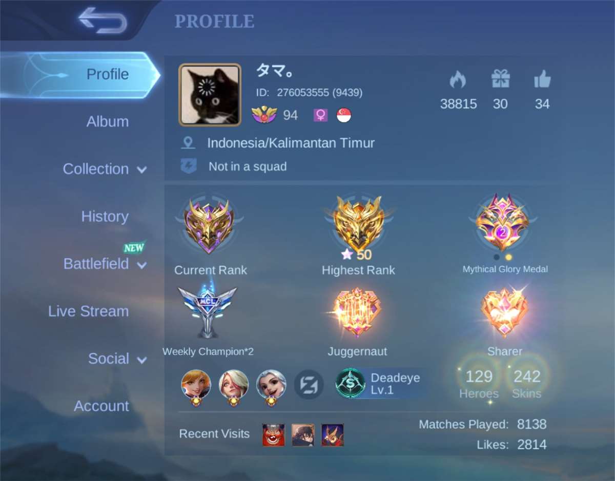 mobile legends